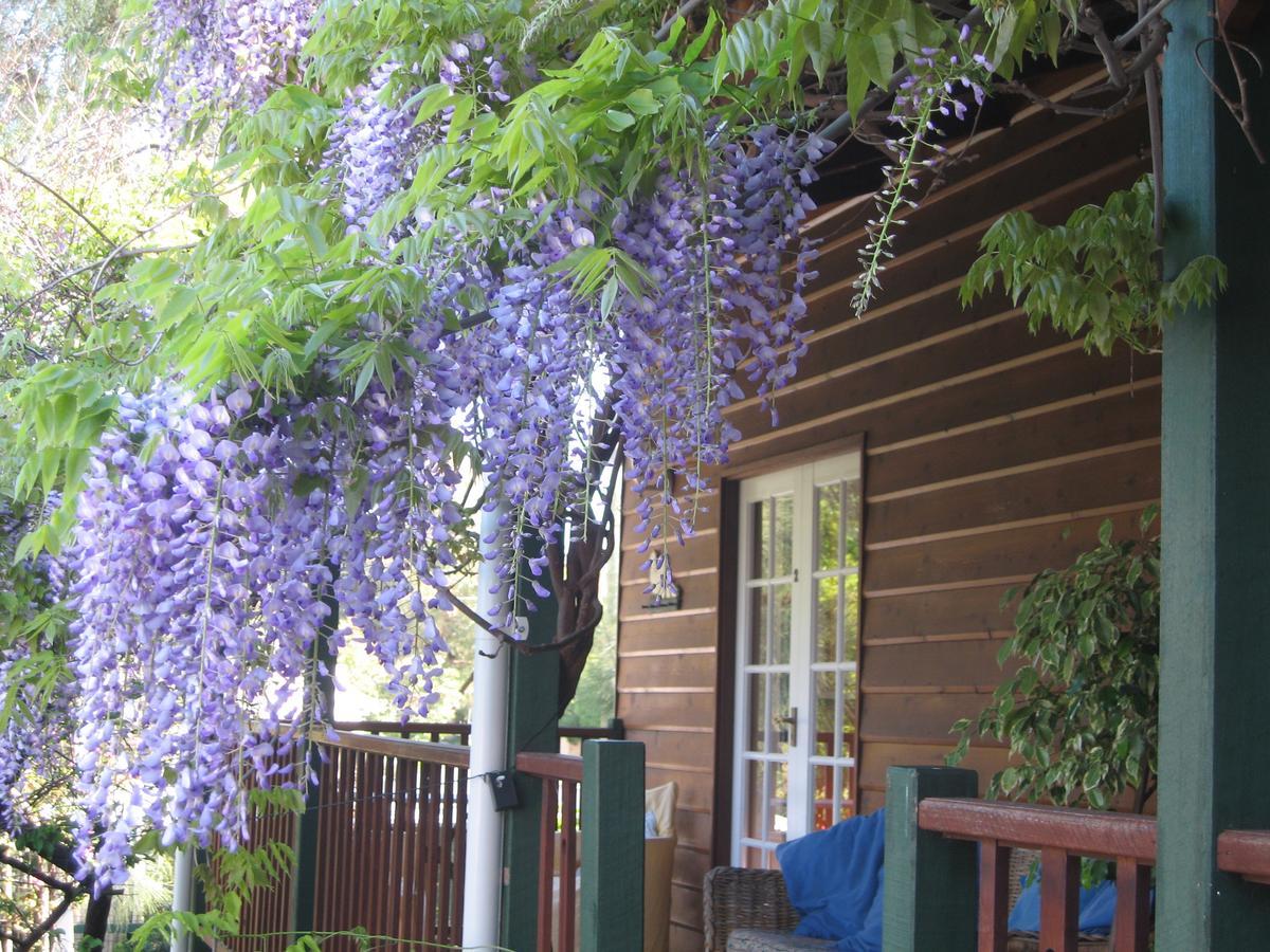 Rosemoore Bed & Breakfast Perth Ngoại thất bức ảnh